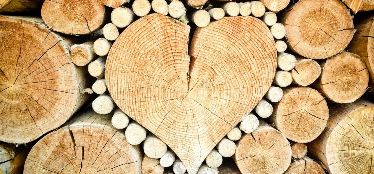 La primavera e il dono dell’elemento Legno